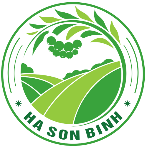 hasonbinhspices